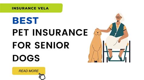 senior insurance plans for pets.